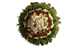 Floricultura entrega coroa de flores em Jaboticatubas  MG 