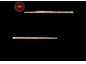 Kanji Sushi Eventos