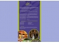 Eficácia Eventos