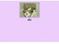 Design do Papel