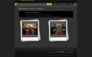 Carla Flores Ltda