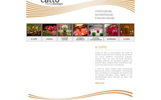 Catto Party Design