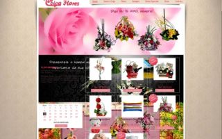 Ceiça Flores