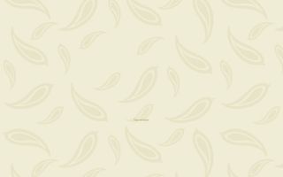 Fiancée Decorações