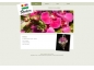 Shalom Design Floral