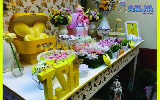 Anja Festas e Eventos