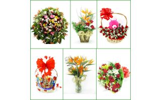 Floricultura flores, cesta de café e coroas BH