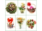 Floricultura flores, cesta de café e coroas BH