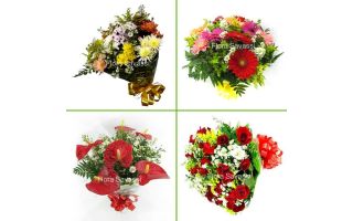 Floricultura entrega flores condomínios de Nova Lima MG