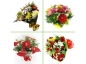 Floricultura entrega flores condomínios de Nova Lima MG 