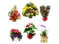 Floricultura entrega flores condomínios Brumadinho MG