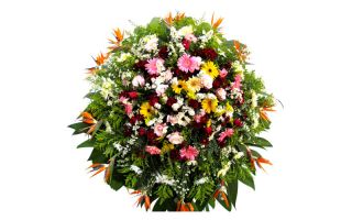Floricultura entrega coroa de flores em Raposos MG 
