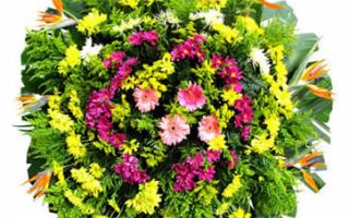 Floricultura entrega coroa de flor Casa Grande, Catas Altas MG 