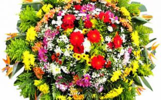Floricultura entrega coroa de flores Catas Altas da Noruega MG