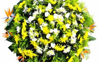 Floricultura entrega coroa de flores Carmópolis de Minas MG