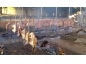 Buffet sabor do churrasco 