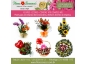 Floricultura Brumadinho: Flores, rosas, cesta café, coroa